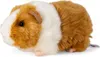 A plush toy guinea pig is shown against a white background. Produktbild-Vorschau