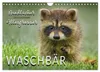 Waschbär - Niedlicher Allesfresser (Wandkalender 2027 DIN Produktbild-Vorschau 1