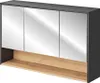 Badezimmer Spiegelschrank 120 cm BOLOGNA-56 in anthrazit Produktbild-Vorschau 1