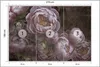Muralo Vlies Fototapete BLUMEN Pfingstrosen Pflanzen Retro Produktbild-Vorschau 2
