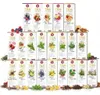 Teekanne Teelounge - 3er Pack - verschiedene Sorten (3x8) Produktbild-Vorschau 1