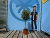An olive tree in a pot is displayed in front of a large blue banner with a cartoon illustration of a man and height markings. Produktbild-Vorschau