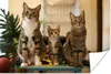 MuchoWow® Poster Drei Katzen auf kleinem Tisch 90x60 cm - Produktbild-Vorschau 1