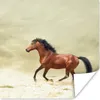 MuchoWow® Poster Pferd - Stoff - Sand 100x100 cm - Produktbild-Vorschau 1