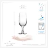 PLATINUX Sektkelche 180ml Serie "Berlin" Sektgläser aus Produktbild-Vorschau 4