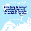 Arctic Blue Omega-3 rybí olej s vitaminem D - pomerančová Náhled obrázku produktu 15