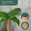 A close-up of a cat scratching post designed to look like a palm tree, with detailed shots of its construction and installation. Podgląd zdjęcia produktu