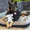 4L Textil ELLA Hundebett Leder Optik Hundekissen Kunstleder Produktbild-Vorschau 5