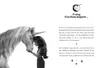 Unicorn Academy - Sophias Einladung Produktbild-Vorschau 3