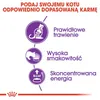 Royal Canin Sensible 33, Adult, 10 kg, Antioxidantien Produktbild-Vorschau 11