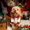 Collare festivo con fiocchi di neve, Collari e decorazioni Anteprima dell’immagine prodotto 7