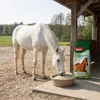 PANTO Mineral P85 Pferdefutter 25kg - Mineralfutter für Produktbild-Vorschau 3