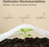 20m² záhradné rúno na rastliny 2 x 10m - 17g/m² Náhľad obrázku produktu 5