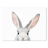 MuchoWow® Mauspad Mousepad Kaninchen - Tiere - Natur - Weiß Produktbild-Vorschau 1
