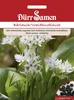 Dürr-Samen - Bärlauch/ Waldknoblauch - Saatgut - 0071 Produktbild-Vorschau 1