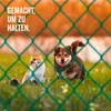 A cat and a dog are sitting in the grass behind a green fence. Produktbild-Vorschau