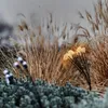 Solar mushroom lights are placed in a garden setting among tall grasses and low-lying plants. Produktbild-Vorschau