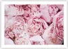 Poster - Poster ohne Rahmen - Blumenstrauß Blumen Rosa - Produktbild-Vorschau 1