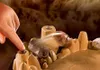 PLAYMOBIL Naruto 70667: Naruto versus Pain - Set met 18 Productafbeelding-voorbeeld 17
