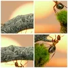 Bilder auf glas - Einteilig - Tiere Ameisen Brücke Natur - Produktbild-Vorschau 8