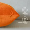 Lionmood Premium Samt Kissenbezug Orange 50x50cm -1er- Produktbild-Vorschau 3