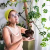 ​Erweiterbare Rankhilfe Kokosstab 110 cm mit Kokosfilz für Produktbild-Vorschau 4
