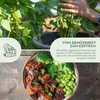 Bohnen Samen (Edamame, 12 Korn) - Bohne Saatgut aus Produktbild-Vorschau 3