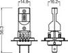 Technical drawing of a light bulb with dimensions. Produktbild-Vorschau