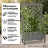 Mucola Rankgitter mit Pflanzkasten Spalier Blumenkasten Produktbild-Vorschau 3
