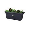 A dark gray rectangular planter filled with various green plants. Podgląd zdjęcia produktu