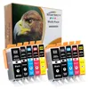 A multi-pack of ink cartridges is shown in front of its packaging, which features an image of an eagle. Produktbild-Vorschau