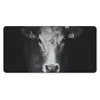 MuchoWow® Schreibtischunterlage Tiere - Kuh - Schwarz - Produktbild-Vorschau 1