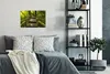 MuchoWow® Poster Schöner Regenwald und Dschungel 30x20 cm - Produktbild-Vorschau 4
