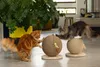 Designed by Lotte Katzenkratzball Balty 30x30x27 cm 408939 Produktbild-Vorschau 5