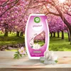 Air Wick Duftgel Blütenfrisch 150g Anteprima dell’immagine prodotto 5