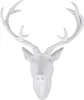 Hirschgeweih Hirschkopf Geweih 10-Ender Weiß 14x16x30cm Figur Skulptur Produktbild-Vorschau