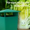 A green snail trap is shown next to a head of lettuce with a smiley face drawn on it, with text overlay. Produktbild-Vorschau