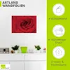 ARTland Wandbild, selbstklebend Rote Rose Größe: 100x70 cm Produktbild-Vorschau 3