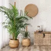2 stuks plantensteun, gemaakt van kokosvezel, vormbare Productafbeelding-voorbeeld 5