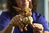 LEGO Pokemon Eevee 72151 Figurina Articolata Decor Anteprima dell’immagine prodotto 2