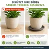 Pflanztopfuntersetzer Mira Anthrazit Ø 58cm - Frostsicher & Produktbild-Vorschau 6