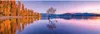Clementoni 39608 Lago Wanaka Albero 1000 Pezzi Puzzle Anteprima dell’immagine prodotto 2