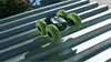 Exost Ferngesteuertes Spielzeug-Stuntauto 360 Tornado 1:10 Produktbild-Vorschau 13