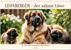 Leonberger - der zahme Löwe (Wandkalender 2026 DIN A4 Produktbild-Vorschau 1