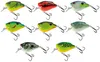 Salmo Squarebill floating 5cm - Wobbler, Salmo Farben:Demon Produktbild-Vorschau 4