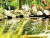 OASE 36953 Aquarius Universal 2000 Springbrunnenpumpe l/h Produktbild-Vorschau 17