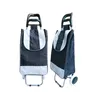 Two shopping trolleys are shown against a white background. Produktbild-Vorschau