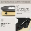 Auna gramofón na vinylové platne, gramofón s reproduktorom, Náhľad obrázku produktu 4