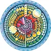 Circle of Colors - Snoepjes van Ravensburger, artikelnummer Productafbeelding-voorbeeld 2