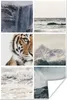 MuchoWow® Poster Tiger - Collage - Wasserfall - Meer 60x90 Produktbild-Vorschau 1